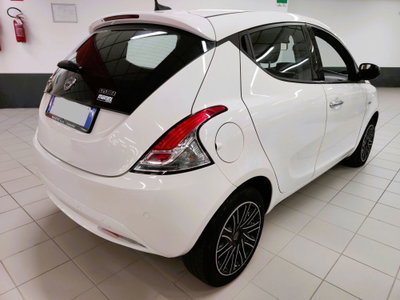Lancia Ypsilon 1.0 FireFly 5 porte S&S Hybrid Ecochic Gold (4)