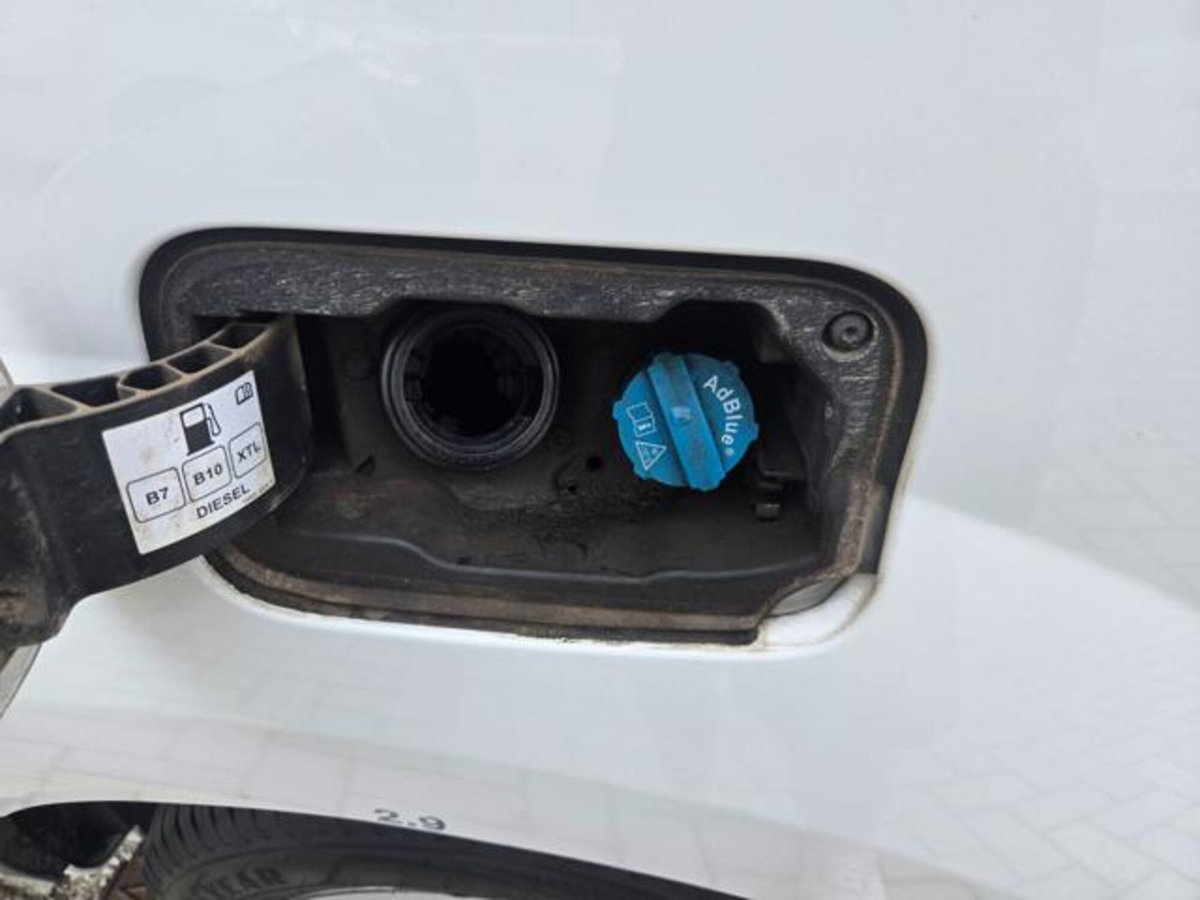 Renault Kangoo Blue dCi 115CV Express Maxi Furgone Ice Plus (11)