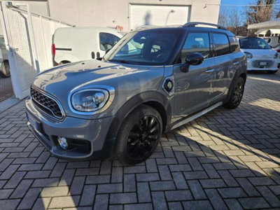 MINI Mini Countryman 1.5 Cooper Hype Countryman ALL4 Automatica (4)