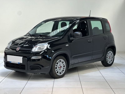 Fiat Panda Cross Cross 1.0 FireFly S&S Hybrid usata