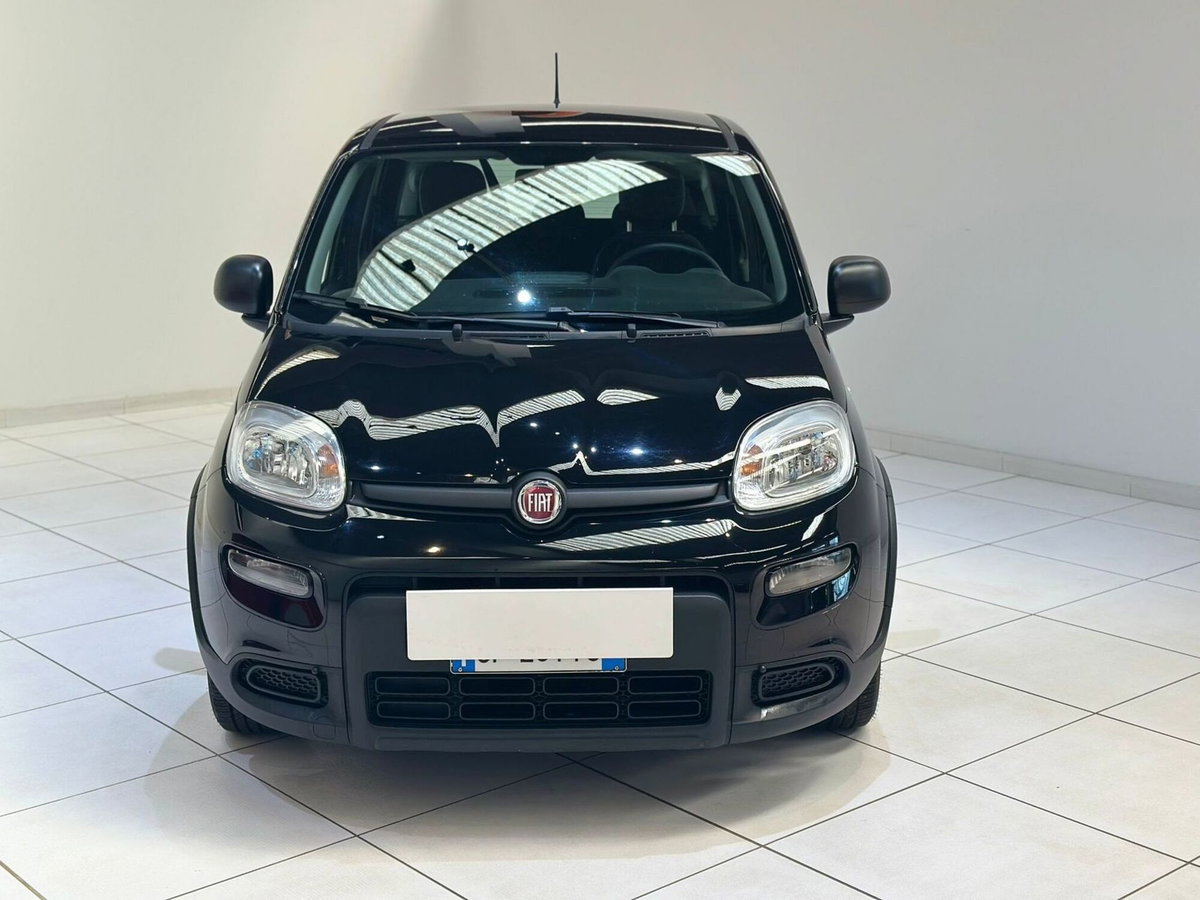 Fiat Panda Cross Cross 1.0 FireFly S&S Hybrid (2)