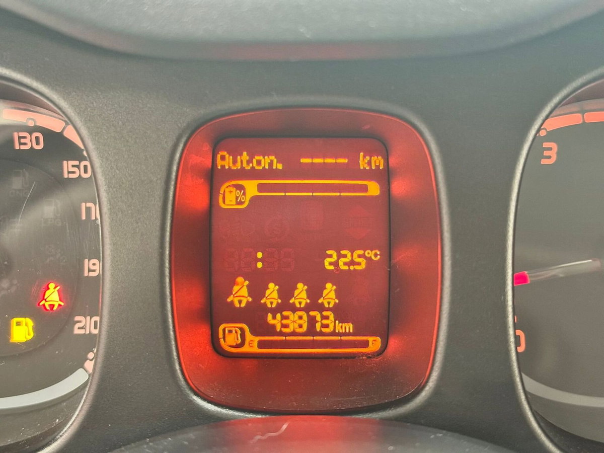 Fiat Panda Cross Cross 1.0 FireFly S&S Hybrid (6)