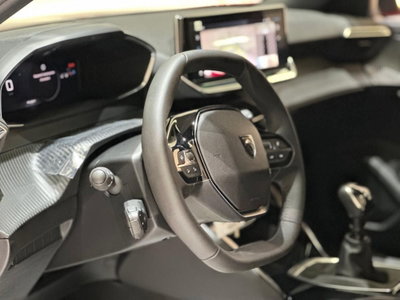 Peugeot 2008 1.2 turbo Allure 100cv (5)