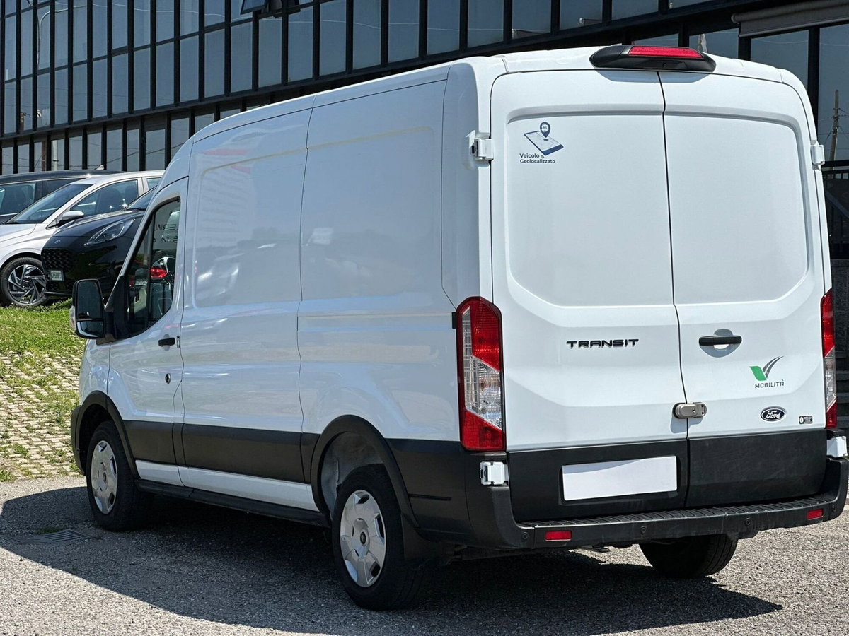 Ford Transit Connect  2.0 diesel 102cv L1H1 Trend (3)
