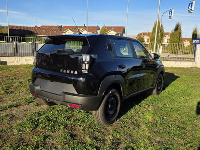 Fiat Grande Panda 1.2 hybrid Icon 110cv edct (7)
