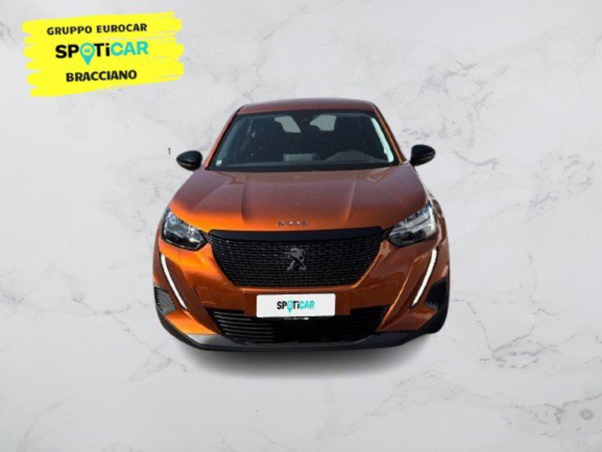 Peugeot 2008 PureTech 100 S&S Active Pack (2)