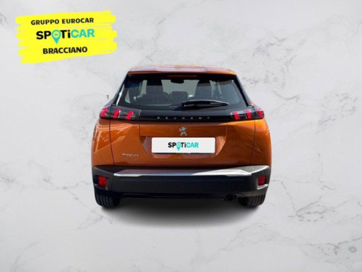Peugeot 2008 PureTech 100 S&S Active Pack (5)