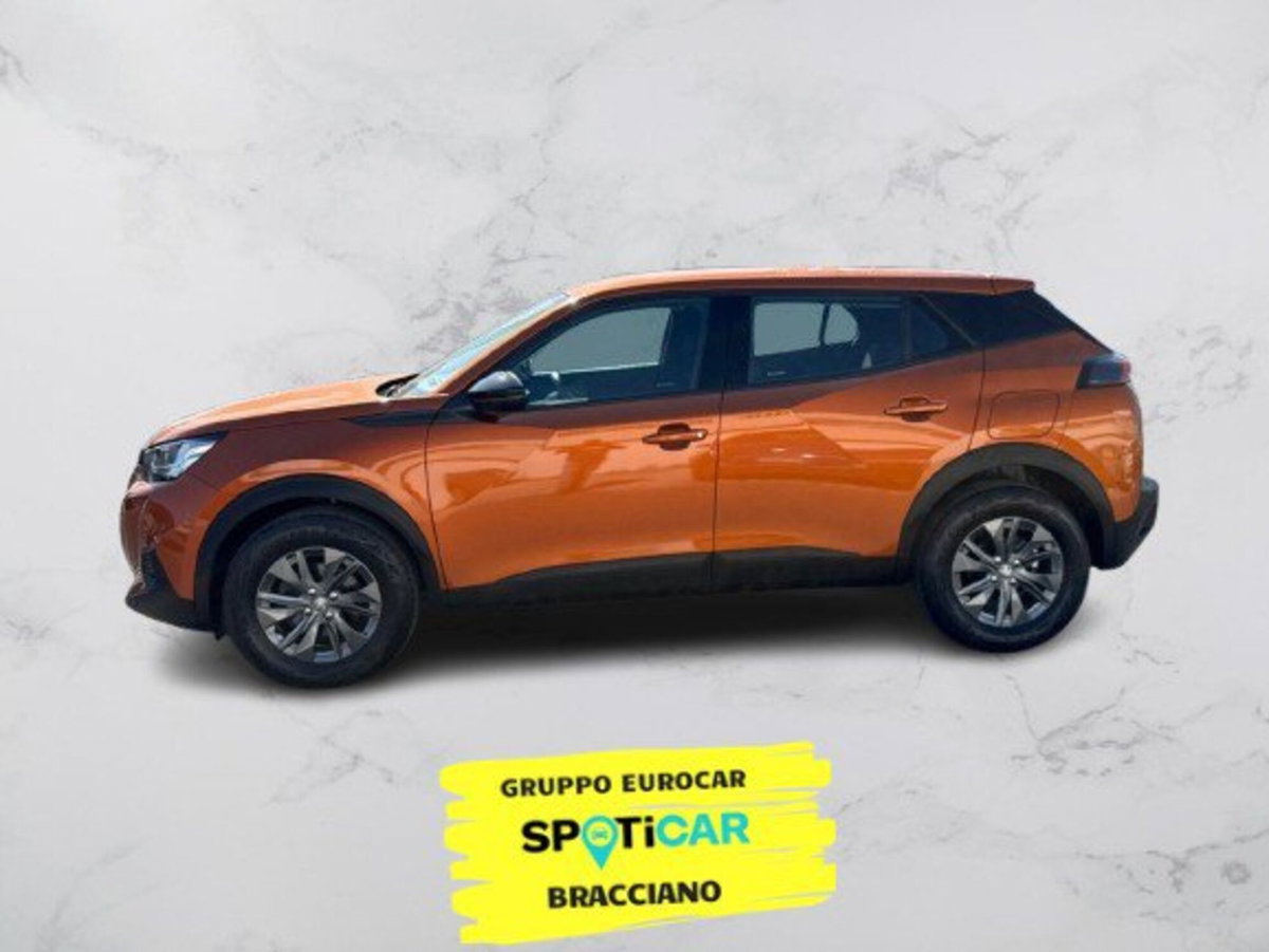 Peugeot 2008 PureTech 100 S&S Active Pack (6)
