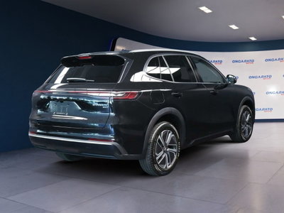 Geely Starray Starray EM-i 1.5 phev Pro auto (5)