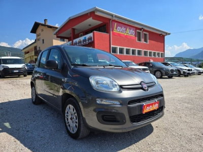 Fiat Panda 1.2 Easy usata