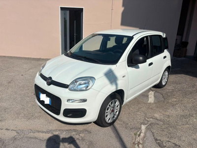 Fiat Panda 1.2 Easy usata