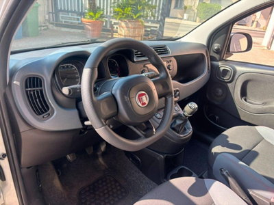Fiat Panda 1.2 Easy (10)
