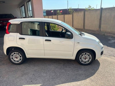 Fiat Panda 1.2 Easy (3)