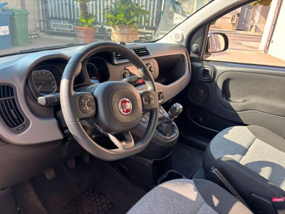 Fiat Panda 1.2 Lounge (7)