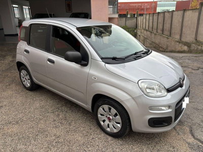Fiat Panda 1.2 Pop usata