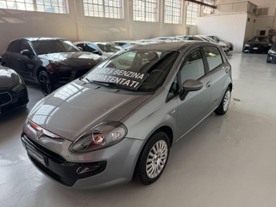 Fiat Punto Evo 1.2 5 porte S&S Dynamic usata