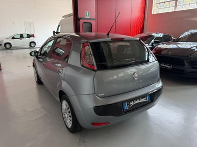 Fiat Punto Evo 1.2 5 porte S&S Dynamic (10)
