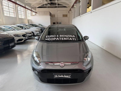 Fiat Punto Evo 1.2 5 porte S&S Dynamic (2)