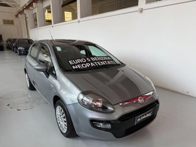 Fiat Punto Evo 1.2 5 porte S&S Dynamic (3)