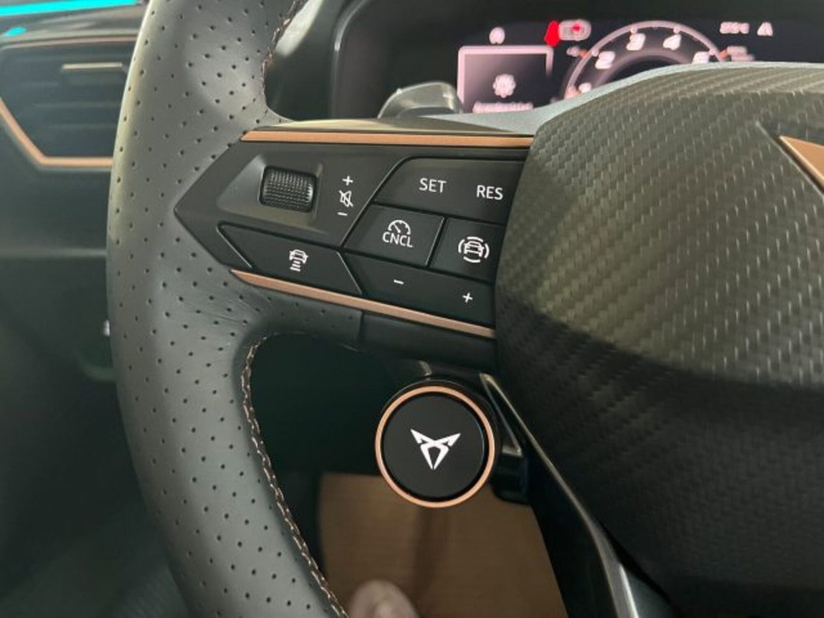 Cupra Formentor Formentor 1.5 TSI (12)