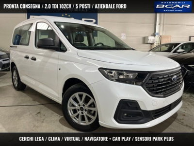 Ford Tourneo Connect 2.0 EcoBlue 102 CV Plus usata