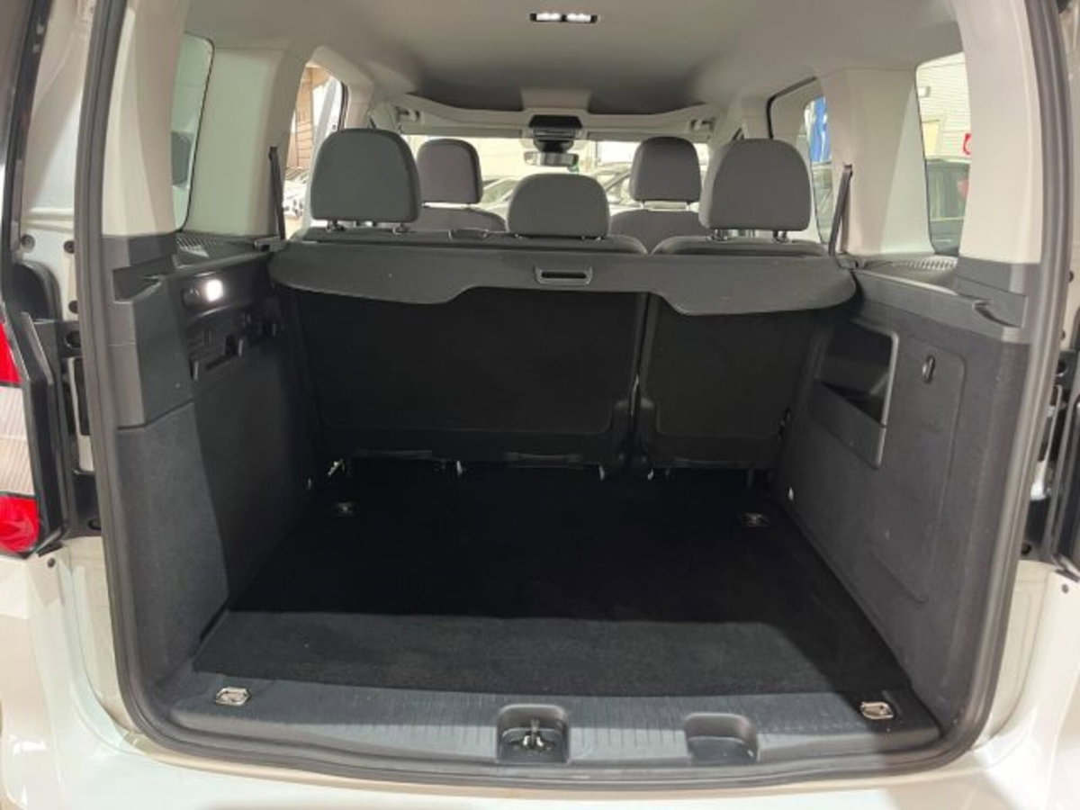 Ford Tourneo Connect 2.0 EcoBlue 102 CV Plus (16)