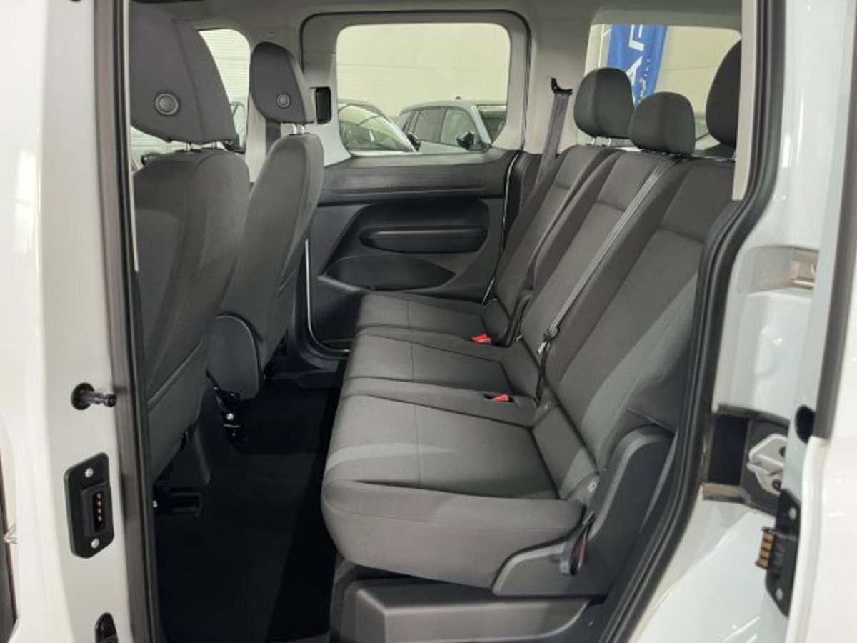 Ford Tourneo Connect 2.0 EcoBlue 102 CV Plus (9)