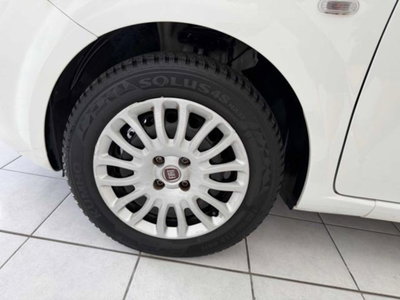 Fiat Punto 1.2 8V 5 porte Street (18)
