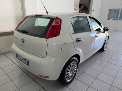 Fiat Punto 1.2 8V 5 porte Street (4)