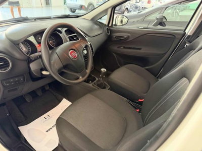 Fiat Punto 1.2 8V 5 porte Street (7)