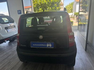 Fiat Panda 1.2 (5)