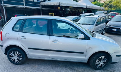 Volkswagen Polo 1.2 12V 5p. Trendline (5)