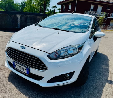 Ford Fiesta 1.0 EcoBoost 100CV 5 porte Black & White Edition usata