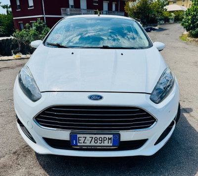 Ford Fiesta 1.0 EcoBoost 100CV 5 porte Black & White Edition (3)