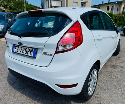 Ford Fiesta 1.0 EcoBoost 100CV 5 porte Black & White Edition (5)