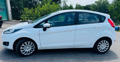 Ford Fiesta 1.0 EcoBoost 100CV 5 porte Black & White Edition (7)
