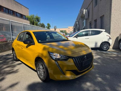 Peugeot 208 PureTech 100 Stop&Start EAT8 5 porte Active Pack (11)