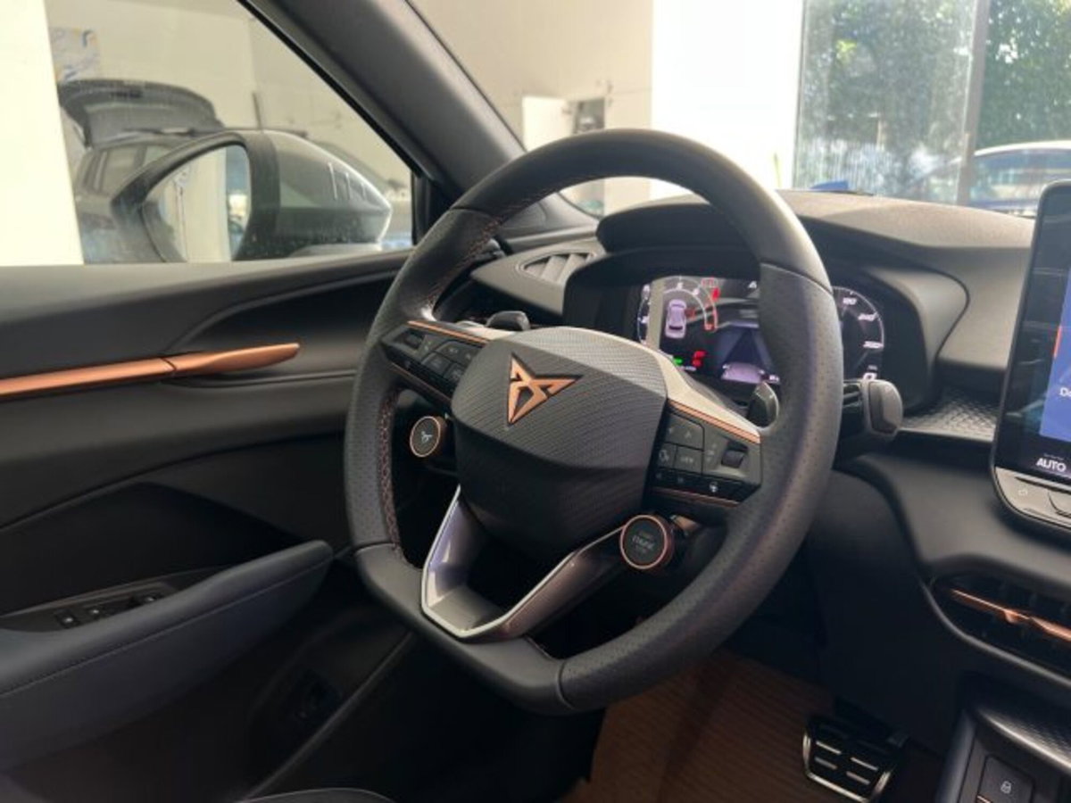 Cupra Terramar 1.5 e-hybrid Impulse 204cv dsg (14)