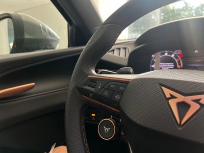 Cupra Terramar 1.5 e-hybrid Impulse 204cv dsg (17)