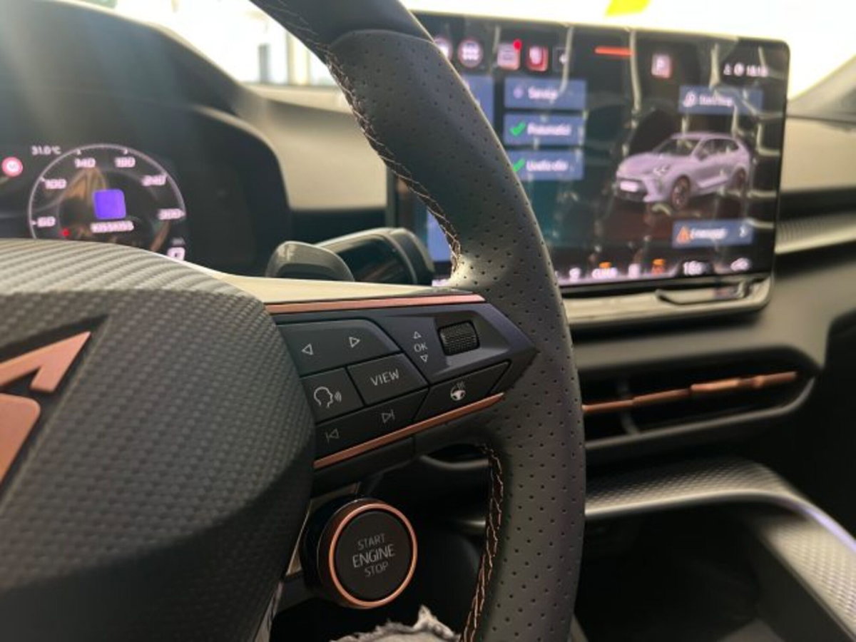 Cupra Terramar 1.5 e-hybrid Impulse 204cv dsg (18)