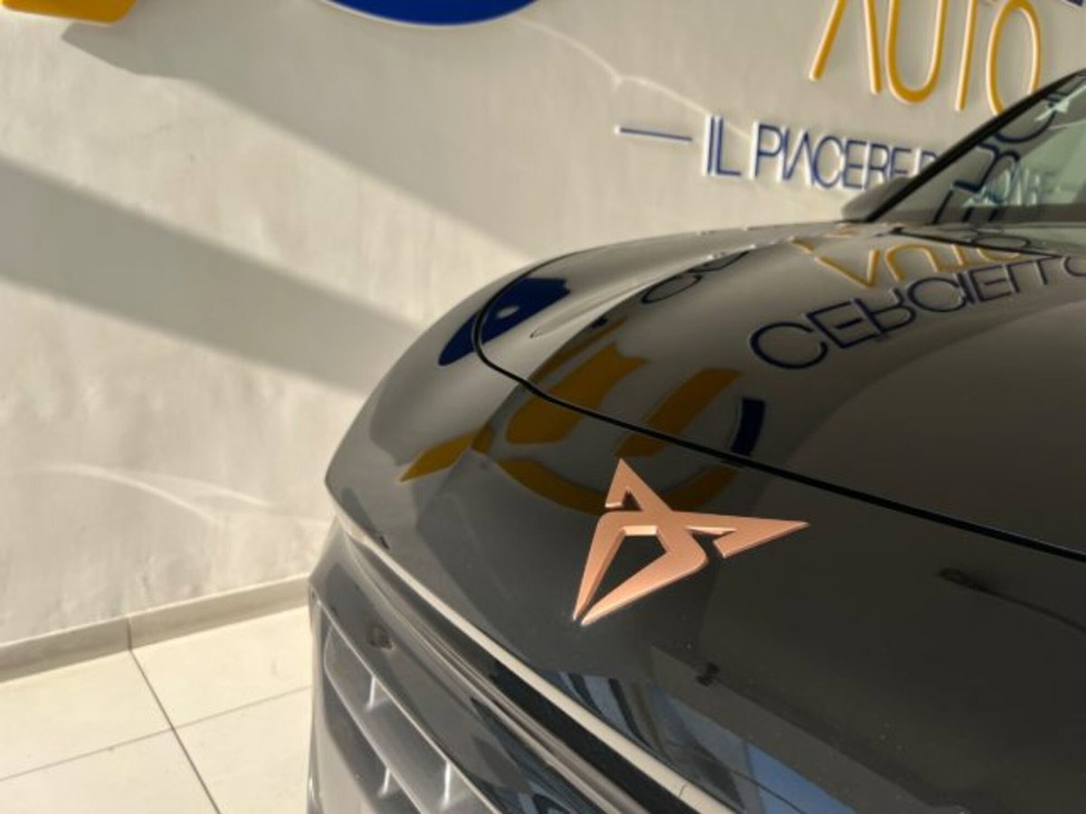 Cupra Terramar 1.5 e-hybrid Impulse 204cv dsg (4)