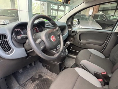 Fiat Panda 1.0 firefly hybrid s&s 70cv 5p.ti (14)