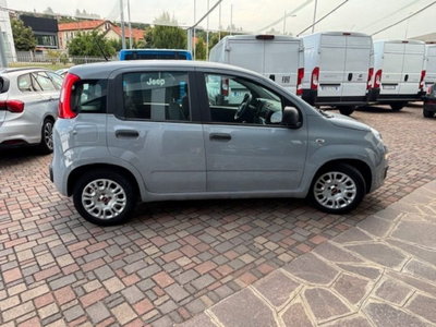 Fiat Panda 1.0 firefly hybrid s&s 70cv 5p.ti (4)