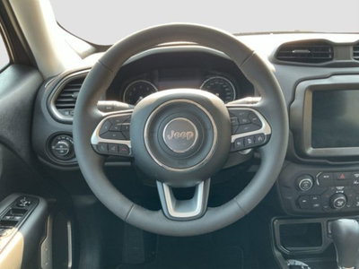 Jeep Renegade 1.5 Turbo T4 MHEV Limited (12)