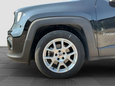 Jeep Renegade 1.5 Turbo T4 MHEV Limited (15)