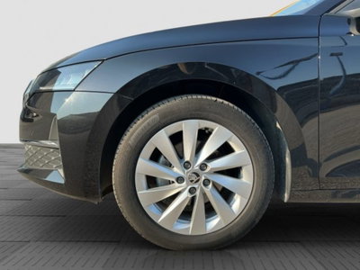 Skoda Octavia Station Wagon 2.0 tdi Executive 150cv dsg (15)