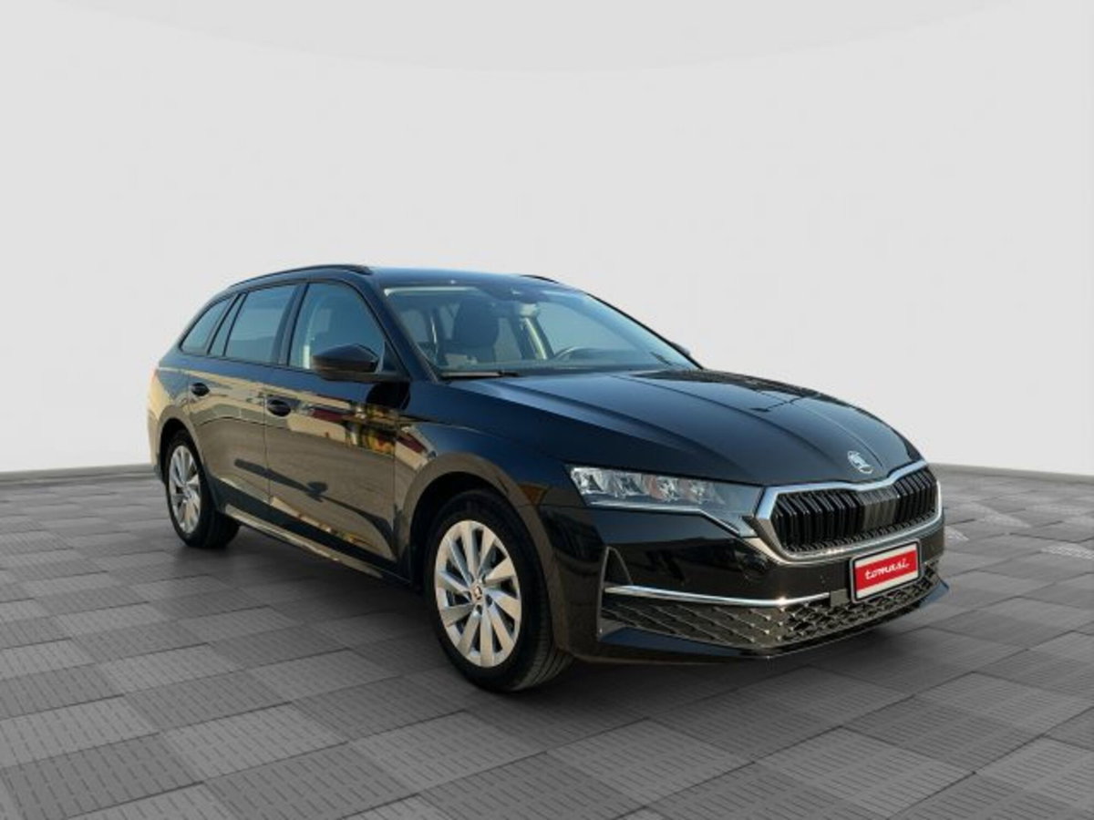 Skoda Octavia Station Wagon 2.0 tdi Executive 150cv dsg (7)