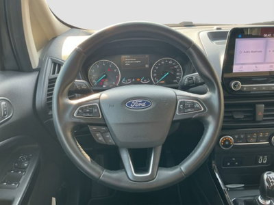 Ford EcoSport 1.0 EcoBoost 100 CV Titanium (12)