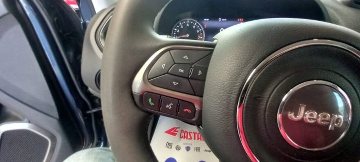 Jeep Renegade 1.3 T4 DDCT Limited (14)