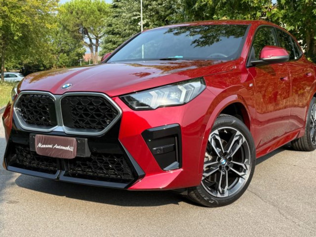 BMW X2 sdrive 20i 48V MSport auto (17)